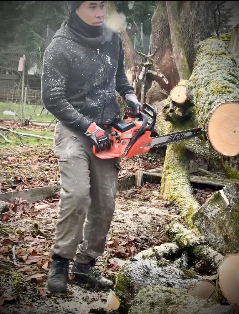 Trusted landscaping services experts serving Seattle, WA - Vu Nguyen Landscaping And Junk Removal