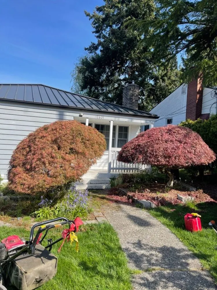 Trusted lawn mowing service for beautiful yards in Seattle, WA by Vu Nguyen Landscaping And Junk Removal