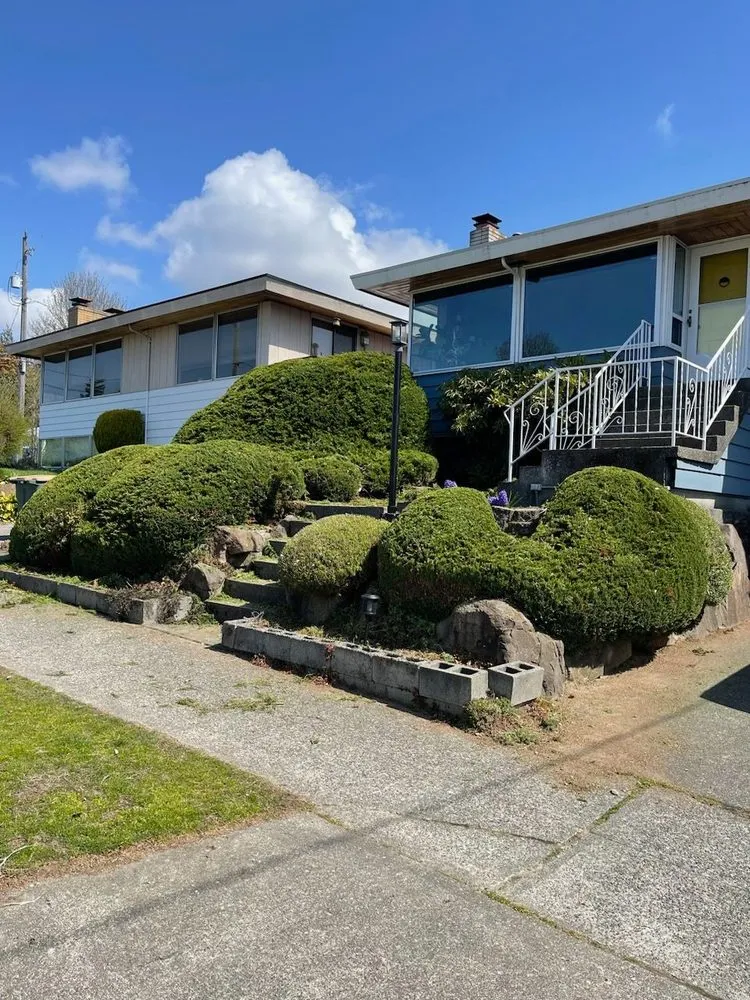 Top-rated yard cleanup service for year-round maintenance in Seattle, WA by Vu Nguyen Landscaping And Junk Removal