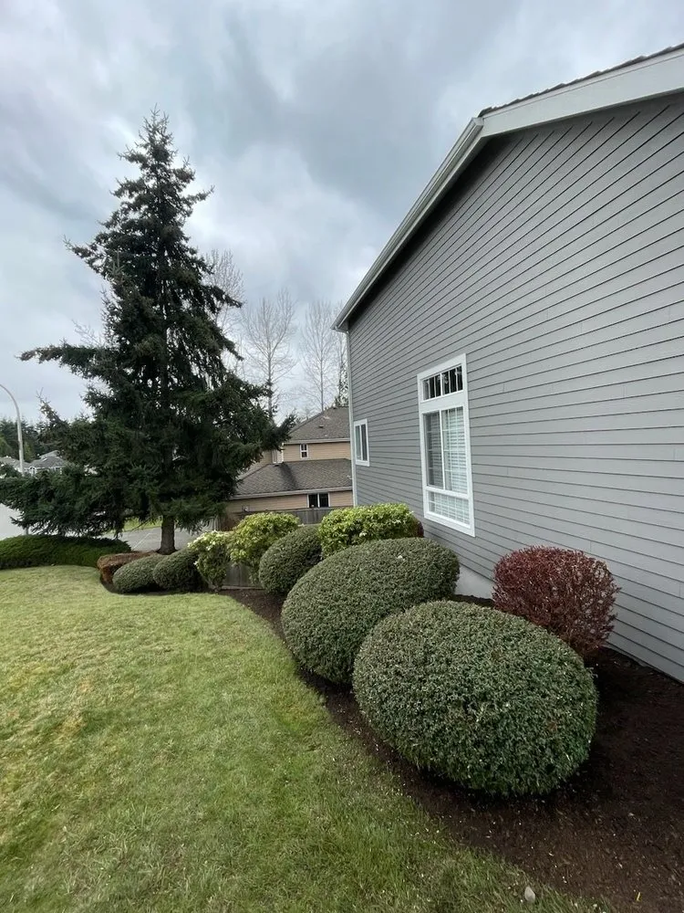 Top-rated garden landscaping in Seattle, WA - Vu Nguyen Landscaping And Junk Removal