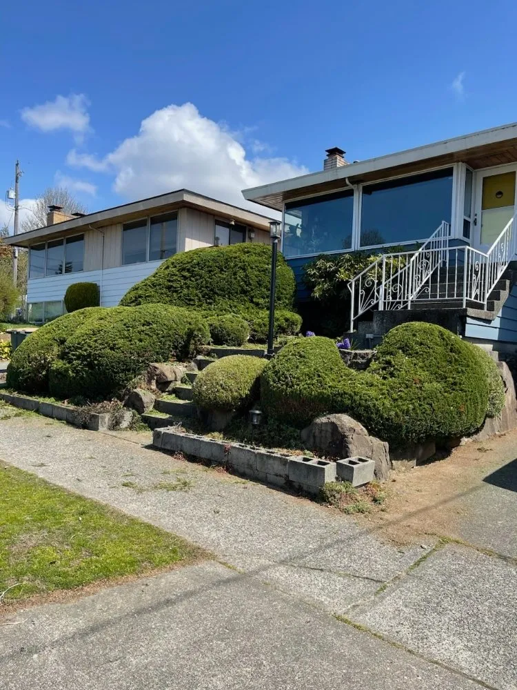 Reliable yard maintenance in Seattle, WA by Vu Nguyen Landscaping And Junk Removal