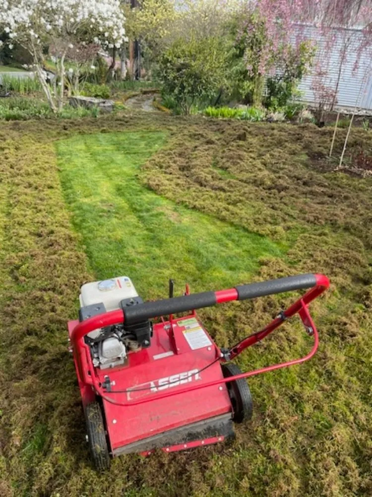 Custom yard maintenance in Seattle, WA by Vu Nguyen Landscaping And Junk Removal