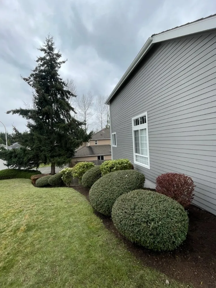 Professional garden landscaping in Seattle, WA by Vu Nguyen Landscaping And Junk Removal