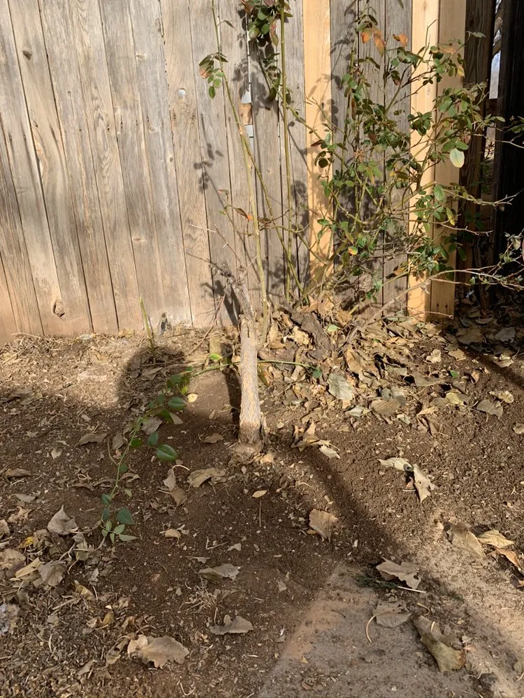 Local landscape installation with custom design across Lubbock, TX - Vuicich Lawn Care Service