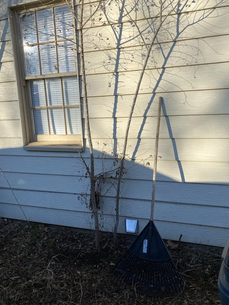 Trusted landscaping services experts serving Lubbock, TX - Vuicich Lawn Care Service