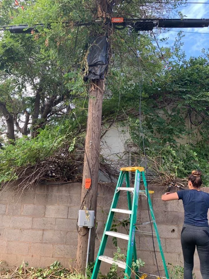 Professional landscape design for homes across Lubbock, TX - Vuicich Lawn Care Service