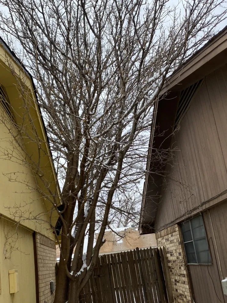 Professional garden landscaping in Lubbock, TX by Vuicich Lawn Care Service