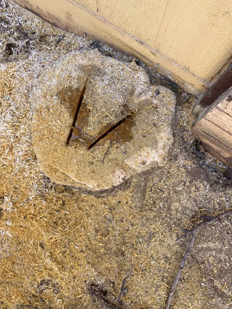 Top-rated outdoor landscaping with custom design in Lubbock, TX by Vuicich Lawn Care Service