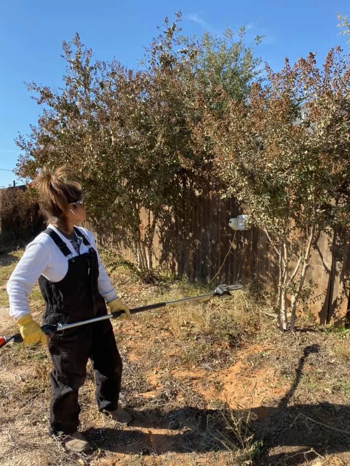 Expert yard maintenance experts serving Lubbock, TX - Vuicich Lawn Care Service