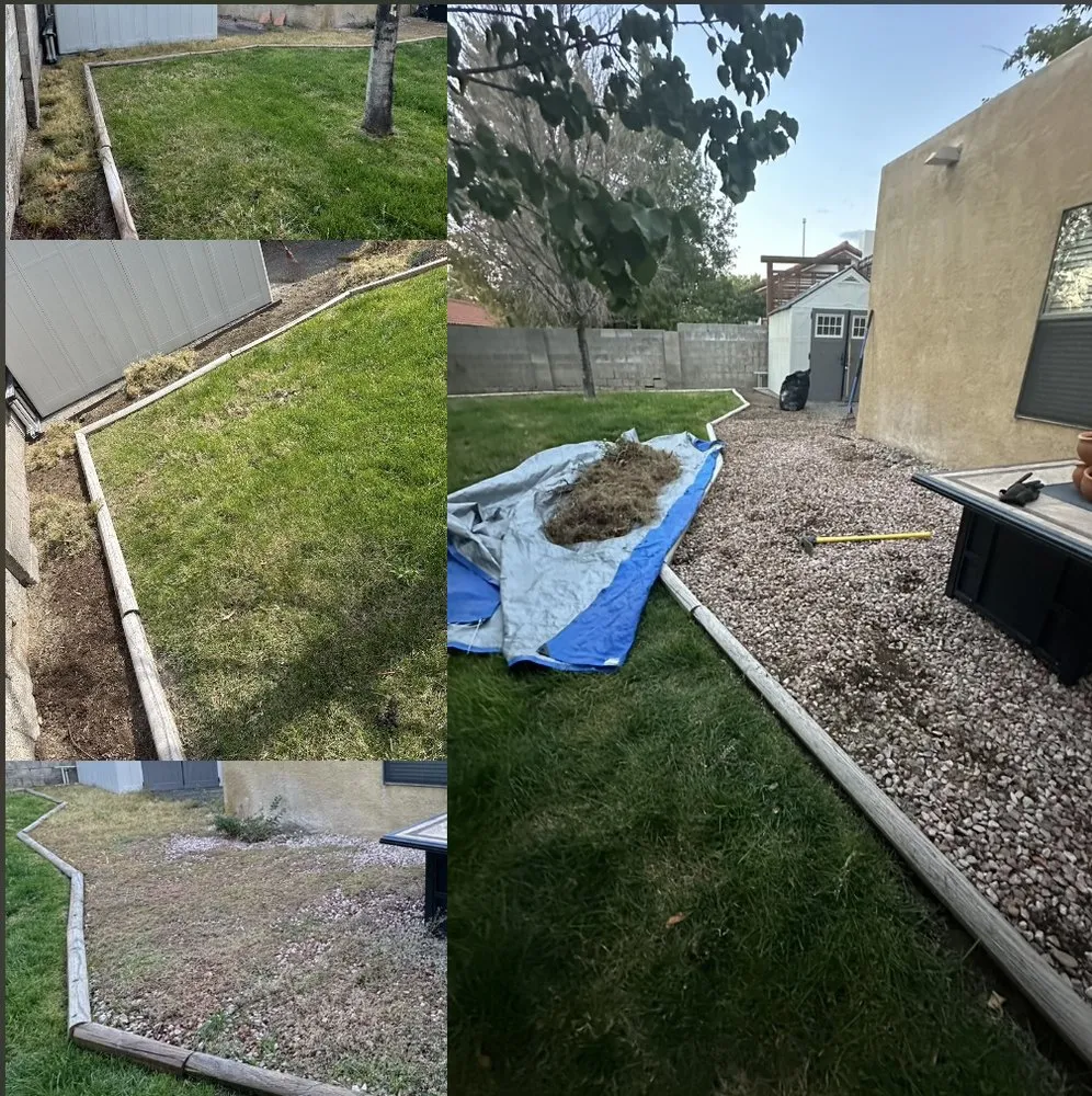 Affordable lawn care service in Albuquerque, NM - Vulcan Lawn Services