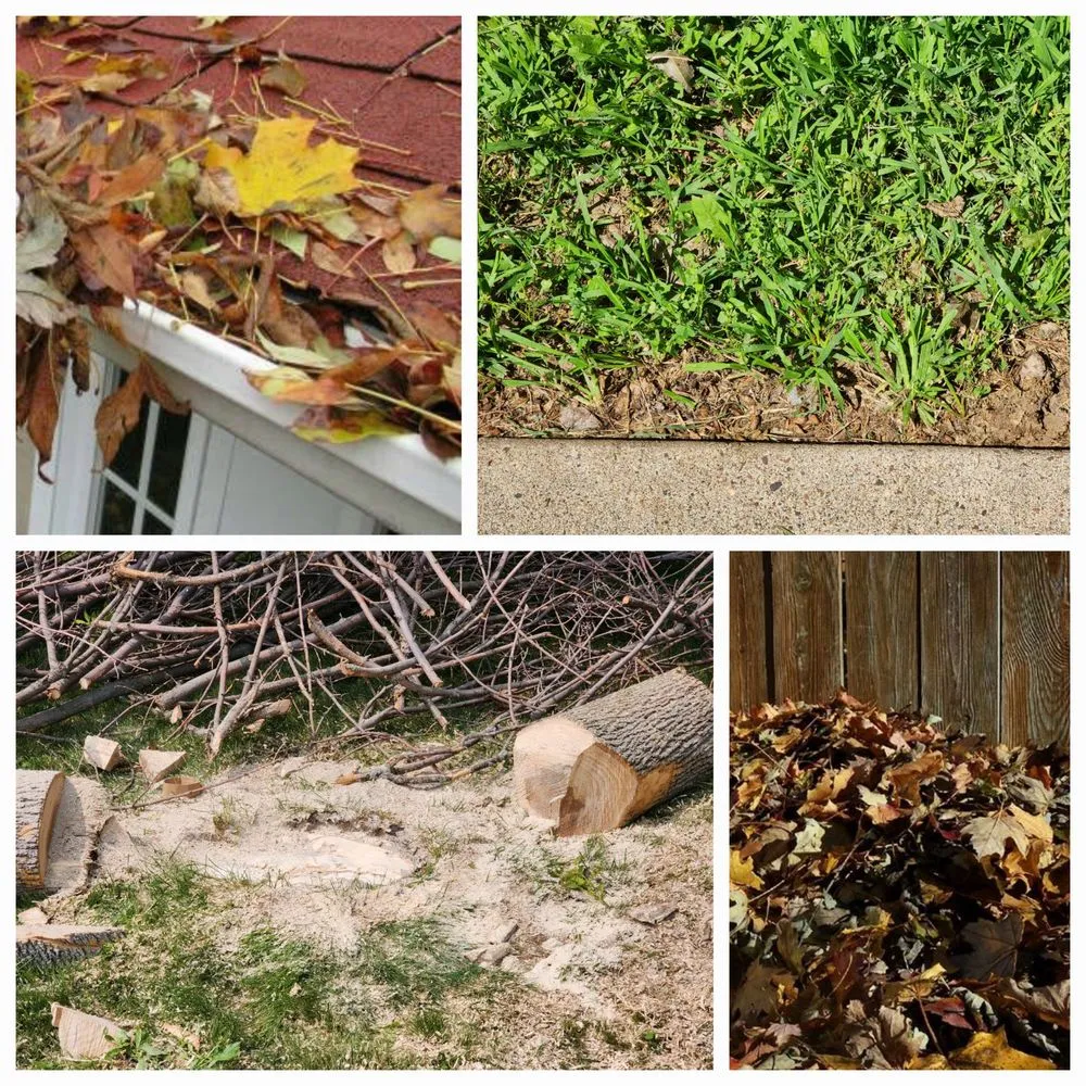 Local lawn care service for residential properties across River Falls, WI - Vulpes Landscaping and Snow