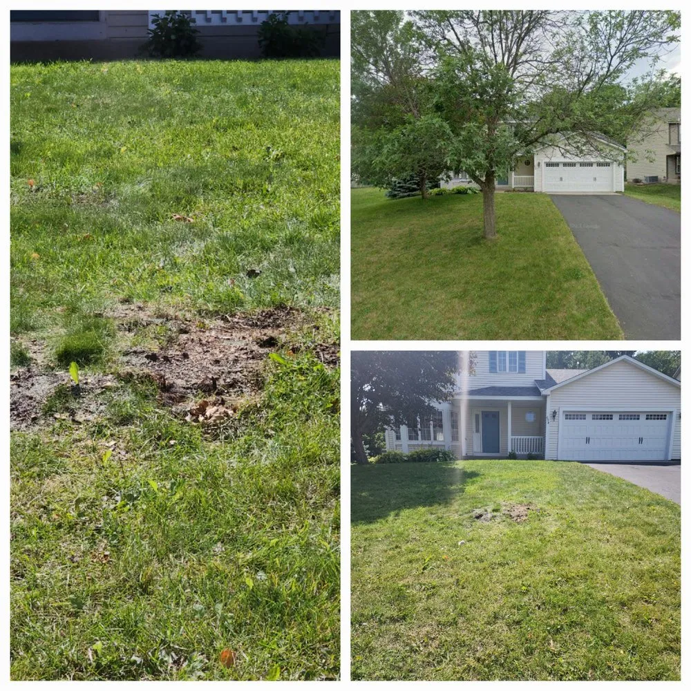 Local landscape installation in River Falls, WI by Vulpes Landscaping and Snow