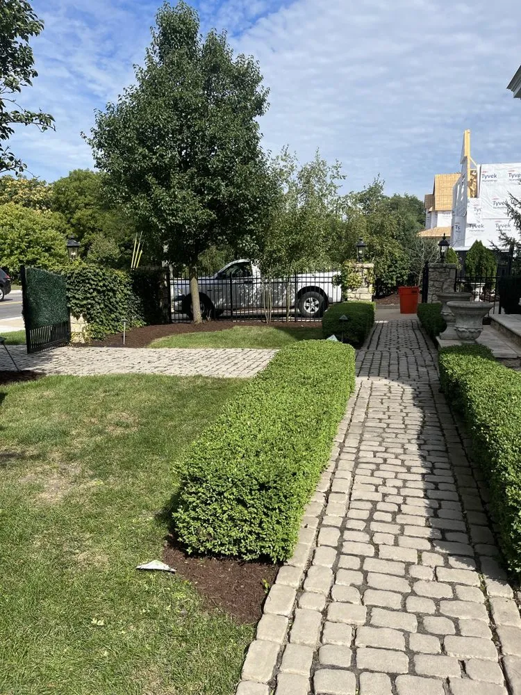 Reliable yard cleanup service near you in Chicago, IL by V&V Landscaping