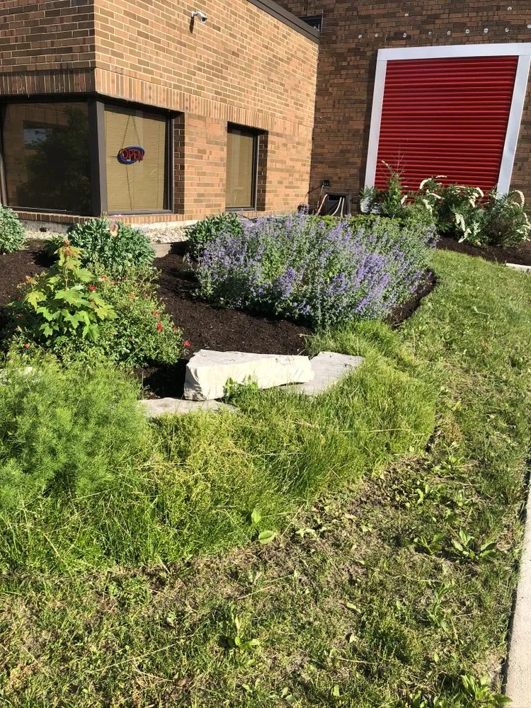 Custom landscaping services experts serving Chicago, IL - V&V Landscaping