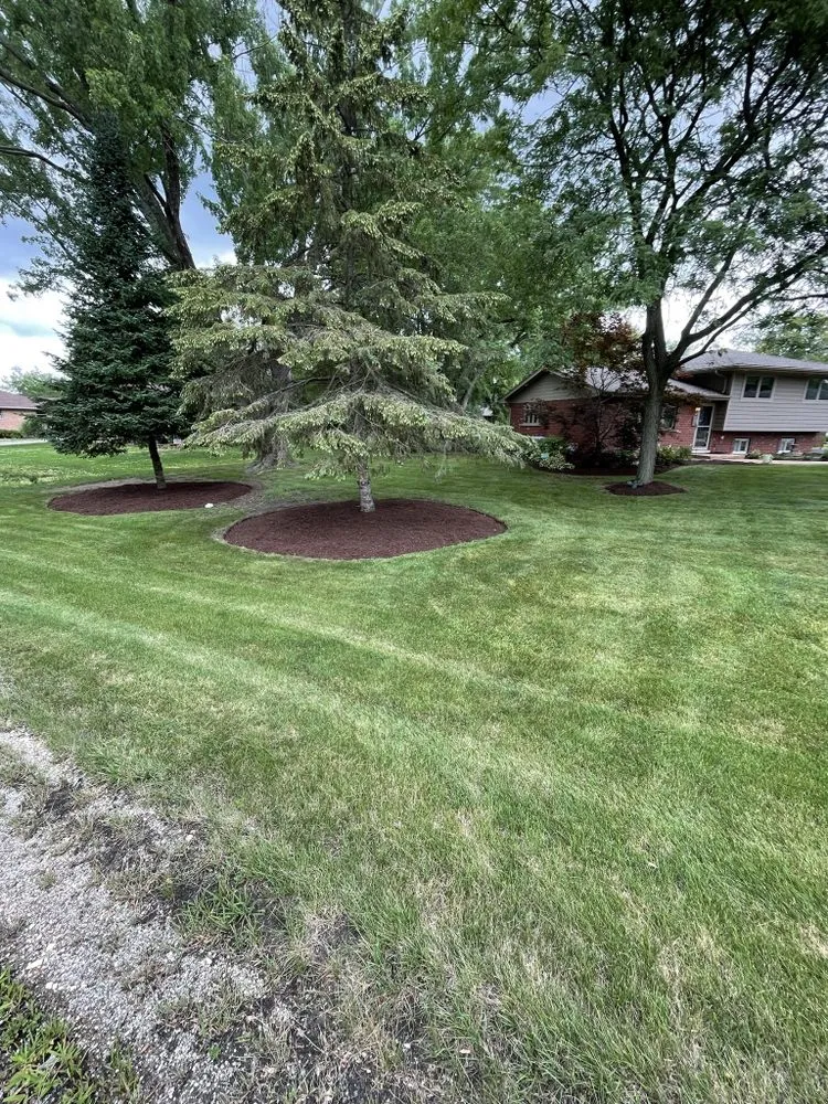 Top-rated landscape design experts serving Chicago, IL - V&V Landscaping