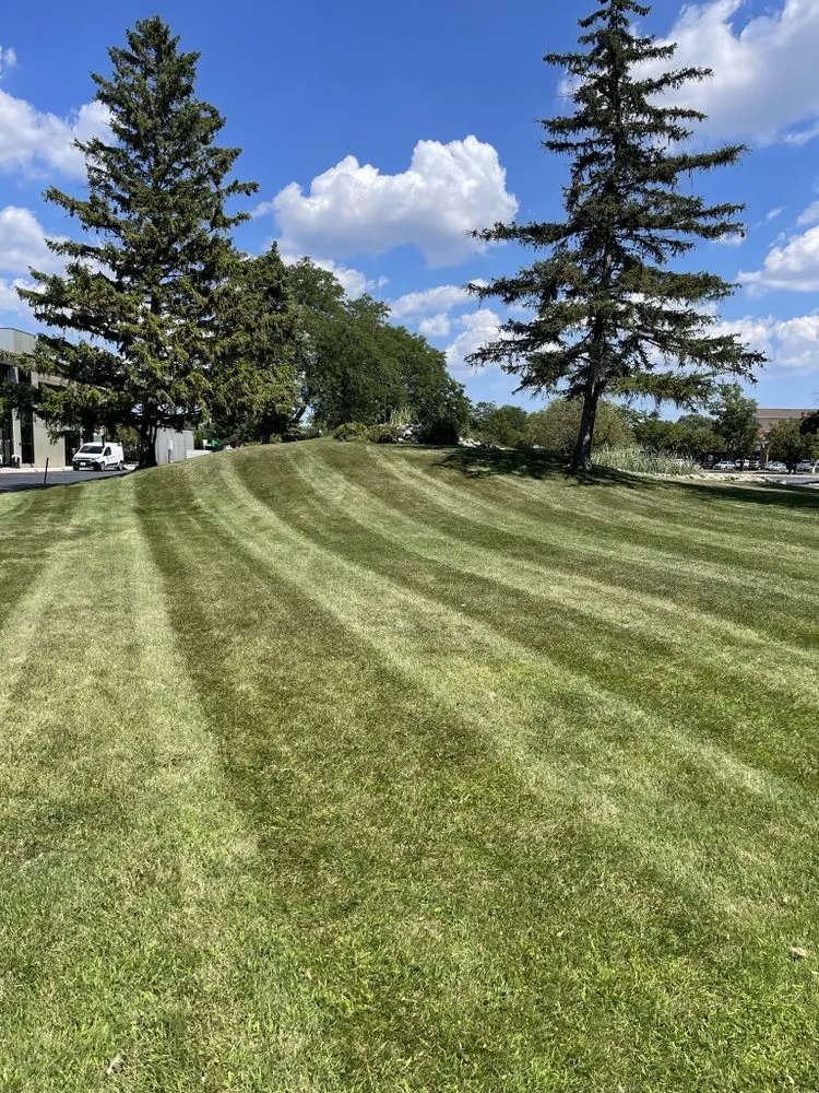 Reliable landscaping services for residential properties across Chicago, IL - V&V Landscaping