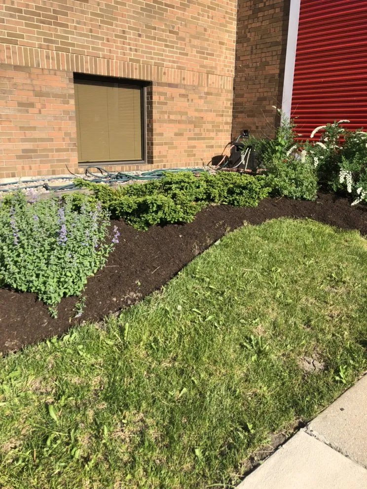 Local yard maintenance near you in Chicago, IL by V&V Landscaping