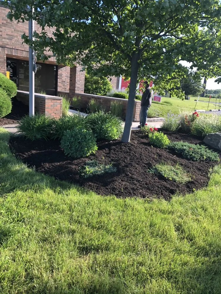 Expert yard cleanup service in Chicago, IL - V&V Landscaping