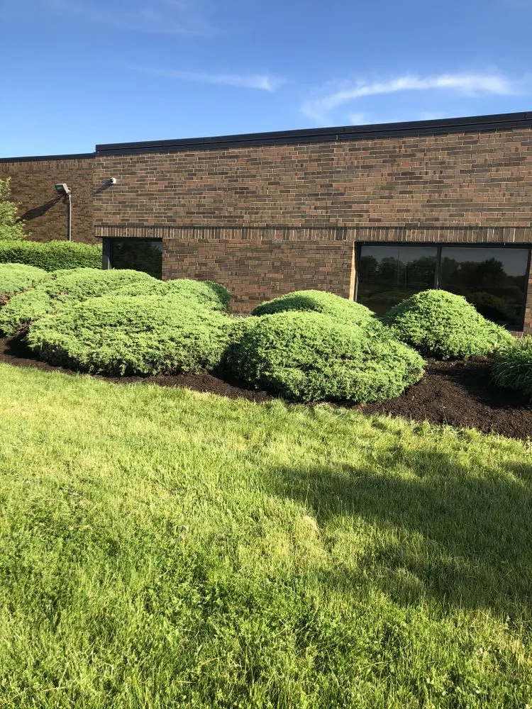 Professional landscaping services in Chicago, IL - V&V Landscaping