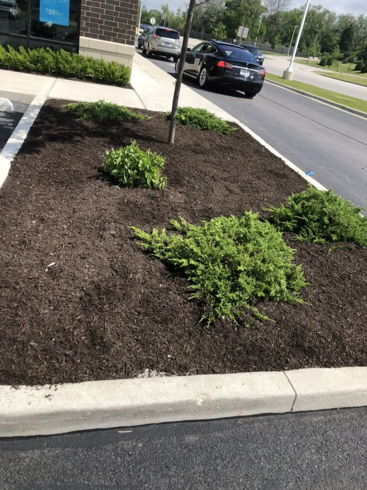 Reliable landscape design for beautiful yards in Chicago, IL by V&V Landscaping