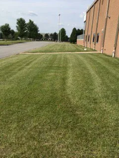 Top-rated landscaping services with custom design across Chicago, IL - V&V Landscaping