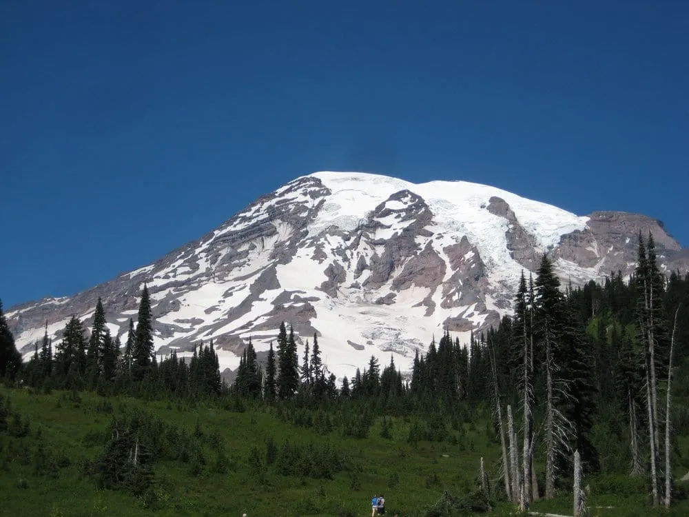 Top-rated garden landscaping in Las Vegas, NV by VV Landscaping