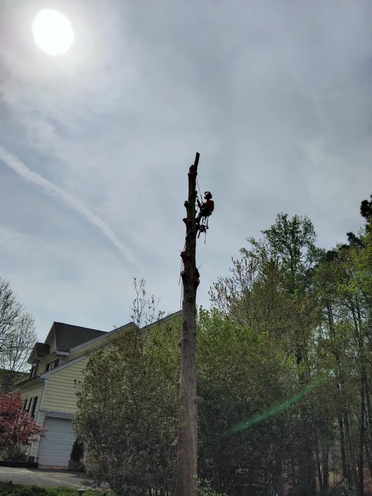 Custom lawn mowing service experts serving Chester, VA - V&V Lawn Care