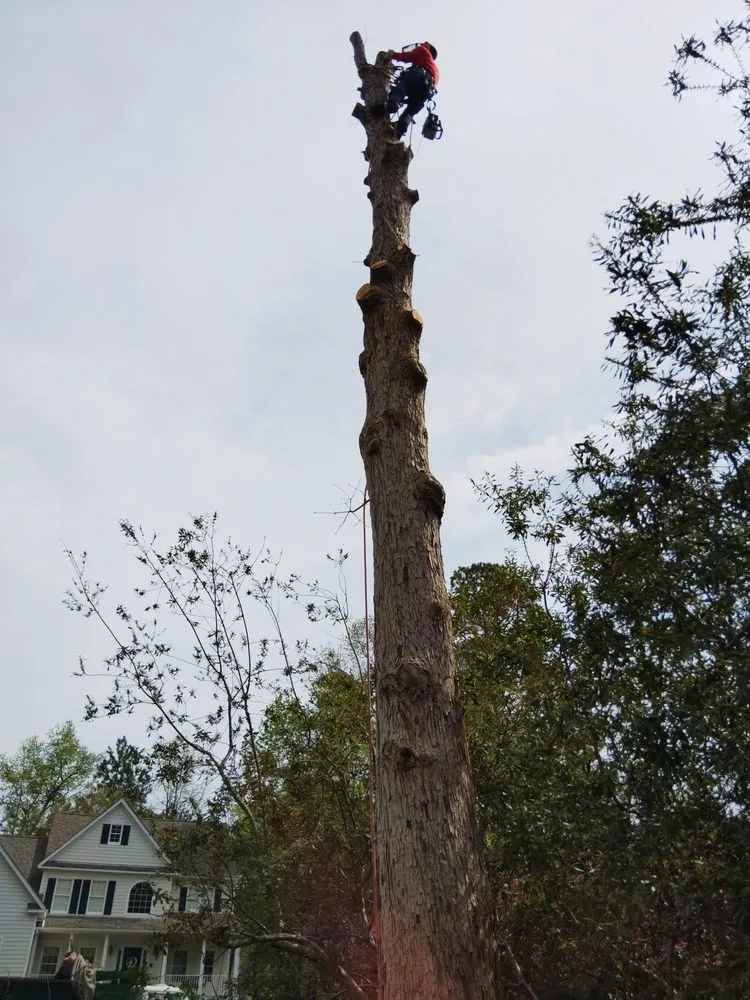 Custom garden landscaping experts serving Chester, VA - V&V Lawn Care