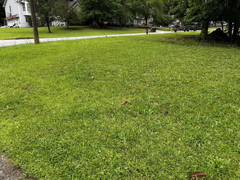 Reliable landscaping services experts serving Austell, GA - VVS Landscape and Enhancement