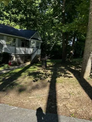 VVS Landscape and Enhancement Logo