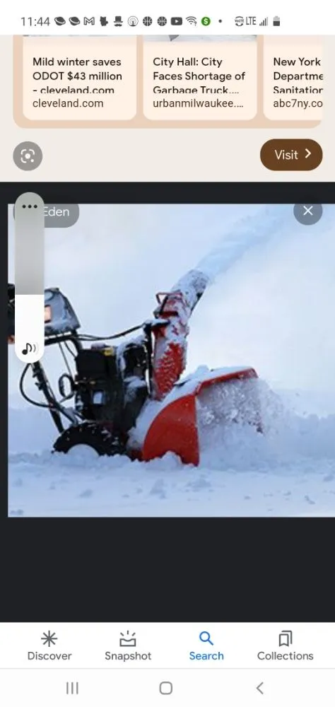 Top-rated yard cleanup service in Dolton, IL by Vwp