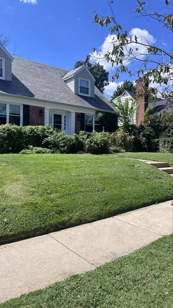 Expert lawn care service for beautiful yards in Springdale, MD by Vázquez & Torres Service