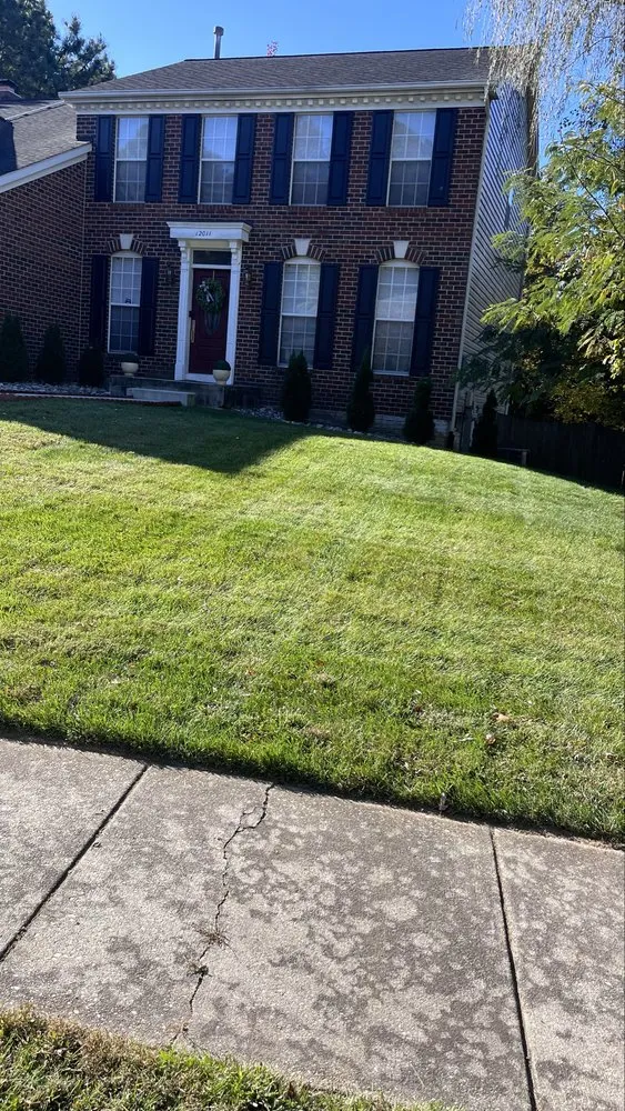 Trusted landscape installation experts serving Springdale, MD - Vázquez & Torres Service