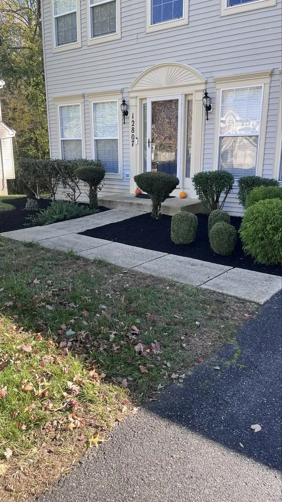 Reliable yard cleanup service near you across Springdale, MD - Vázquez & Torres Service