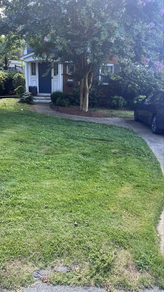 Top-rated landscape installation in Springdale, MD by Vázquez & Torres Service