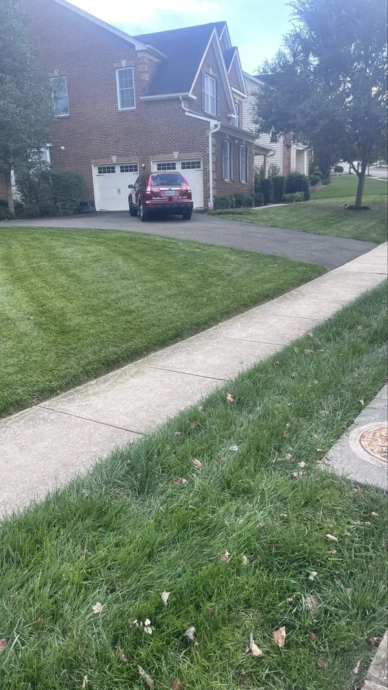 Top-rated lawn care service for beautiful yards across Springdale, MD - Vázquez & Torres Service