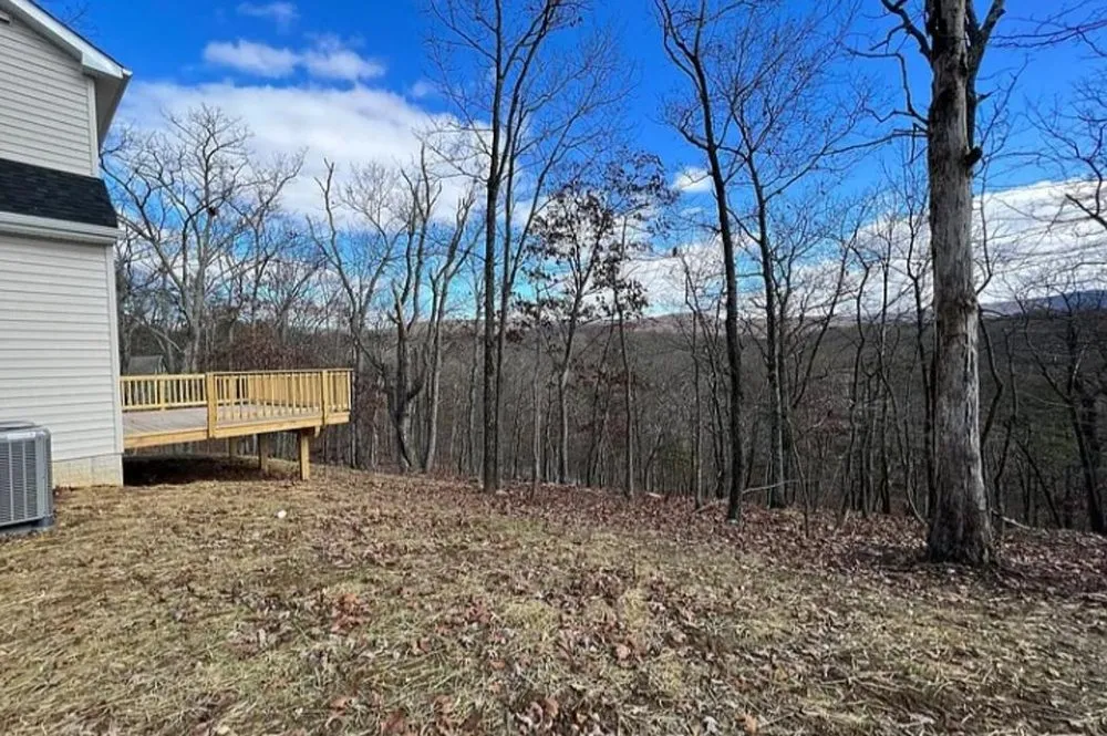 Professional yard cleanup service experts serving Greensboro, NC - W & J All In One Services