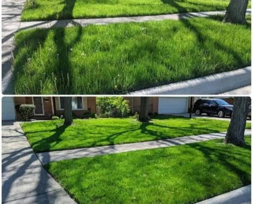 Expert yard cleanup service in Greensboro, NC - W & J All In One Services