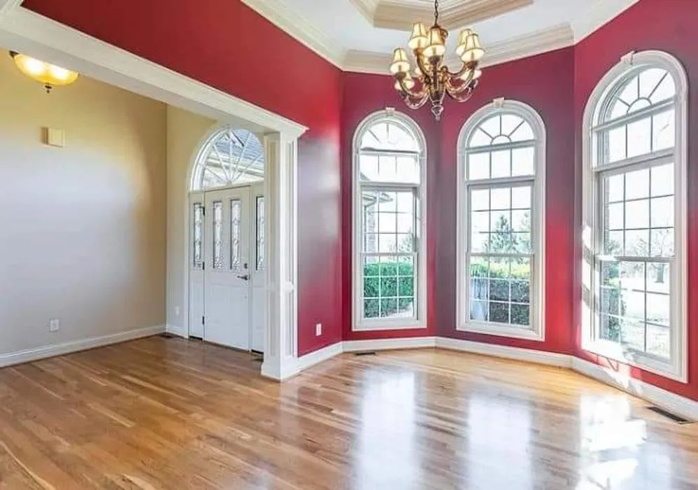 Reliable yard cleanup service experts serving Greensboro, NC - W & J All In One Services