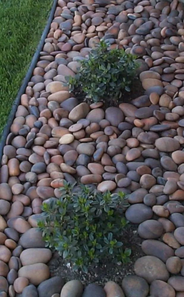 Trusted lawn mowing service in Lexington, NC by W & M Upgrade Lawn Care