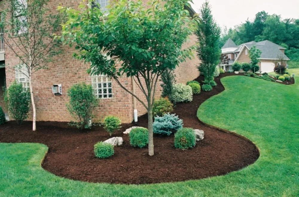 Custom landscaping services in Lexington, NC by W & M Upgrade Lawn Care