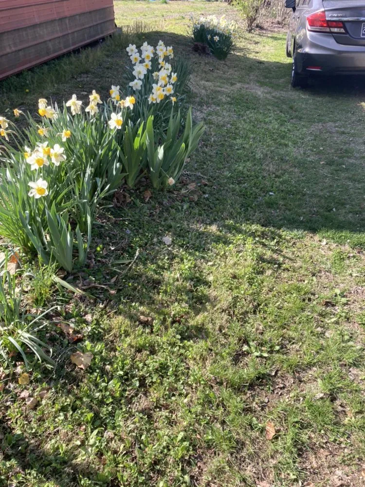 Custom residential landscaping for year-round maintenance across Rockwood, TN - W & R Mac Dermott Affordable Lawn Care