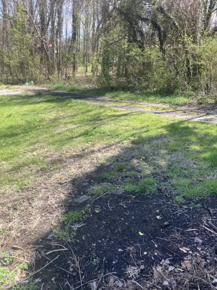 Affordable yard maintenance for year-round maintenance across Rockwood, TN - W & R Mac Dermott Affordable Lawn Care