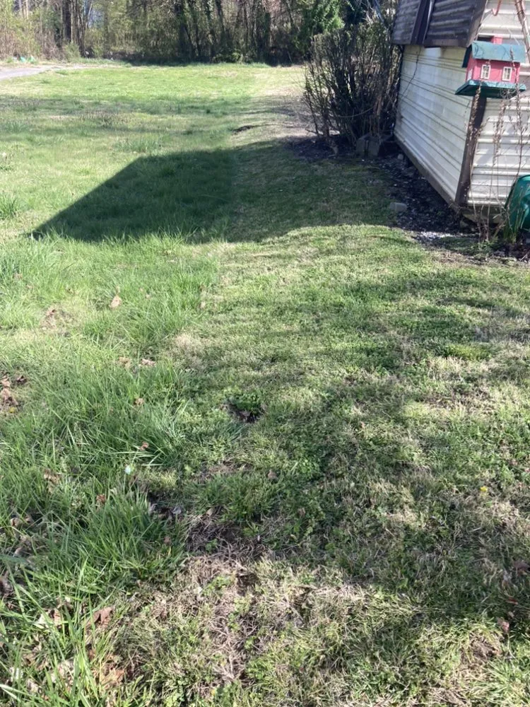 Local yard maintenance in Rockwood, TN - W & R Mac Dermott Affordable Lawn Care