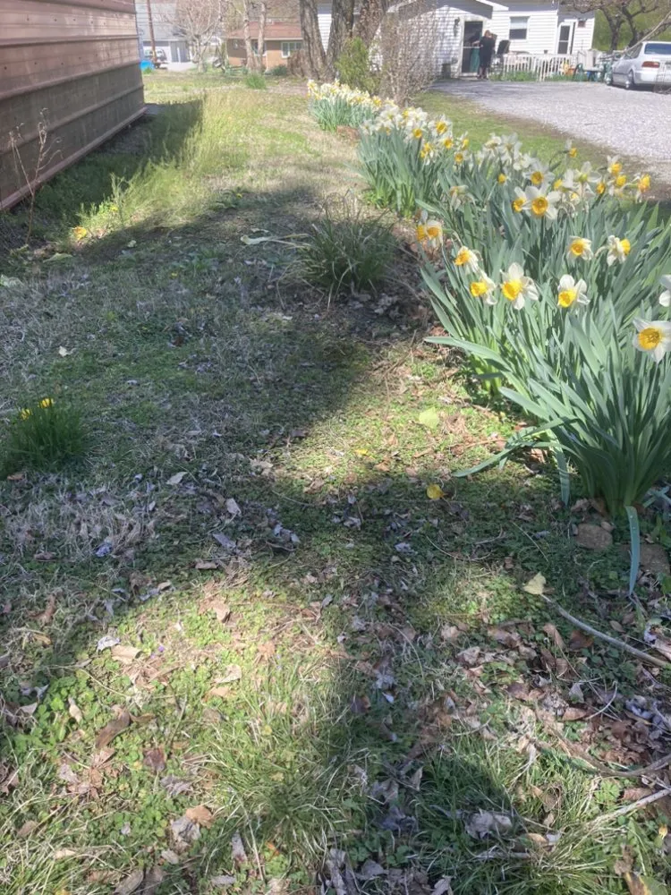 Trusted lawn mowing service for homes in Rockwood, TN by W & R Mac Dermott Affordable Lawn Care