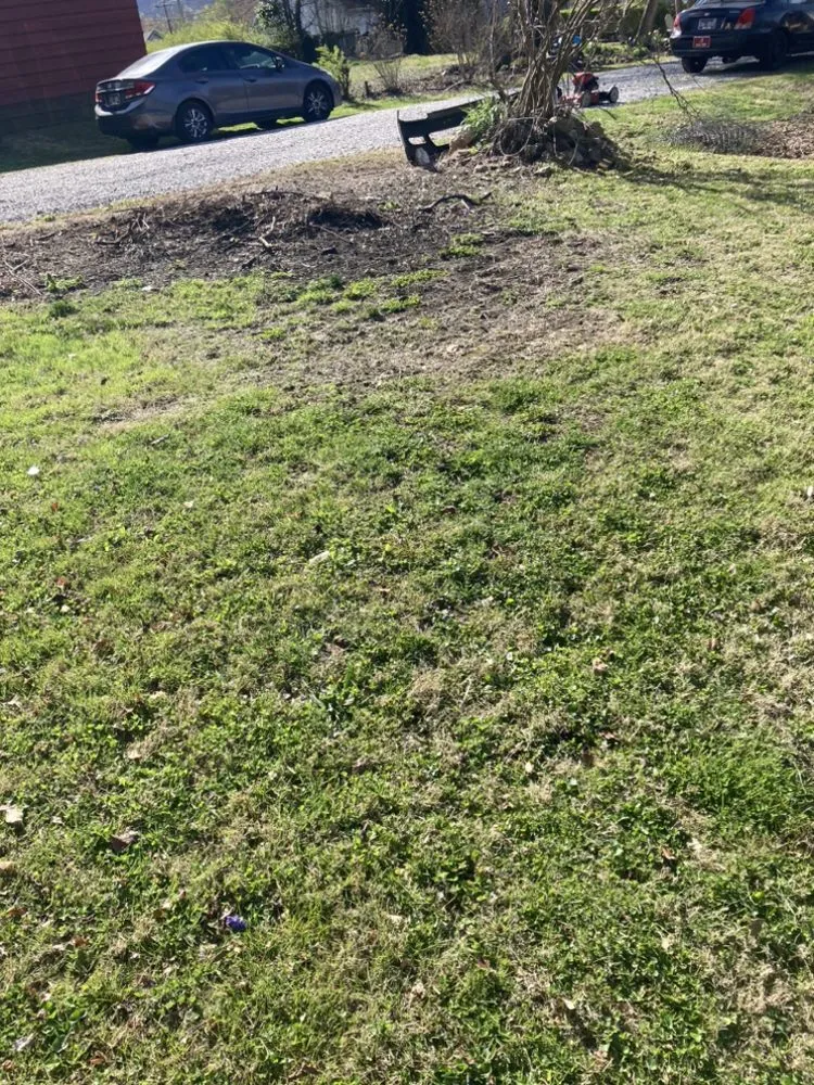 Professional outdoor landscaping near you in Rockwood, TN by W & R Mac Dermott Affordable Lawn Care