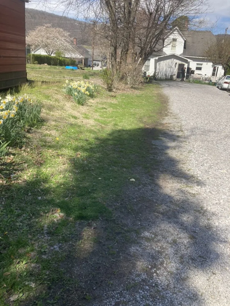 Professional lawn care service in Rockwood, TN - W & R Mac Dermott Affordable Lawn Care