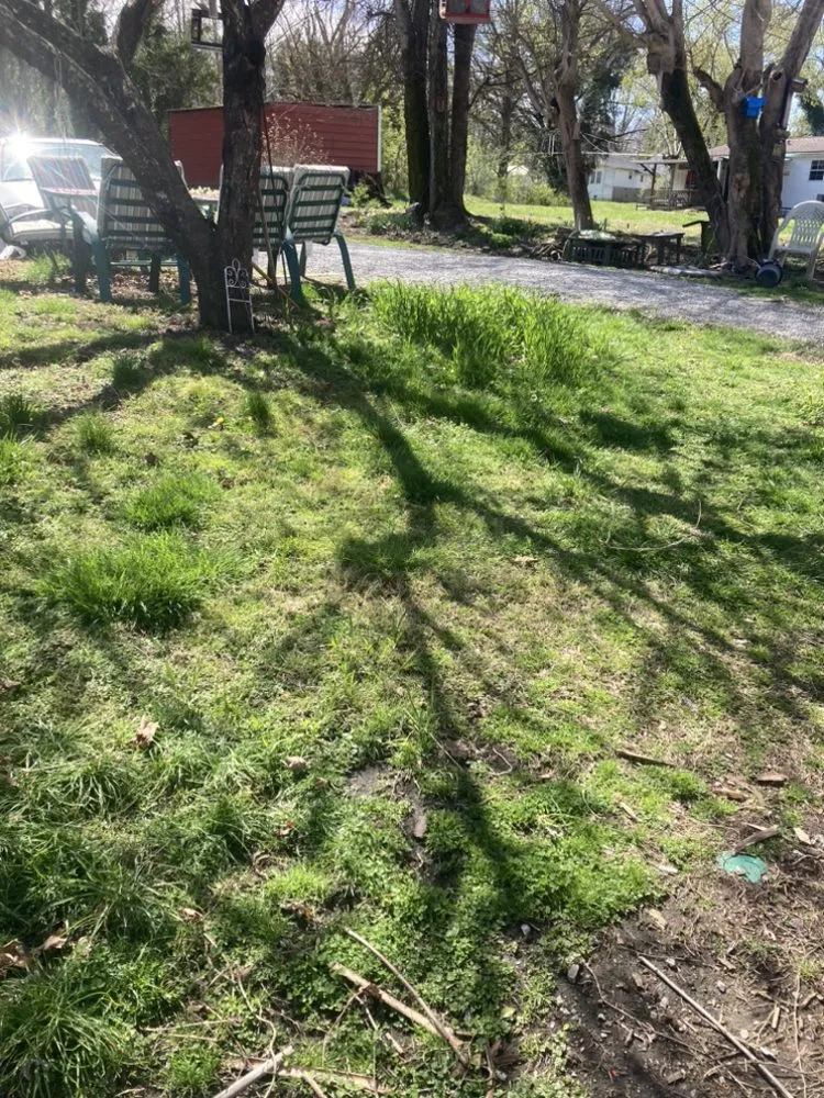 Affordable landscape installation in Rockwood, TN - W & R Mac Dermott Affordable Lawn Care