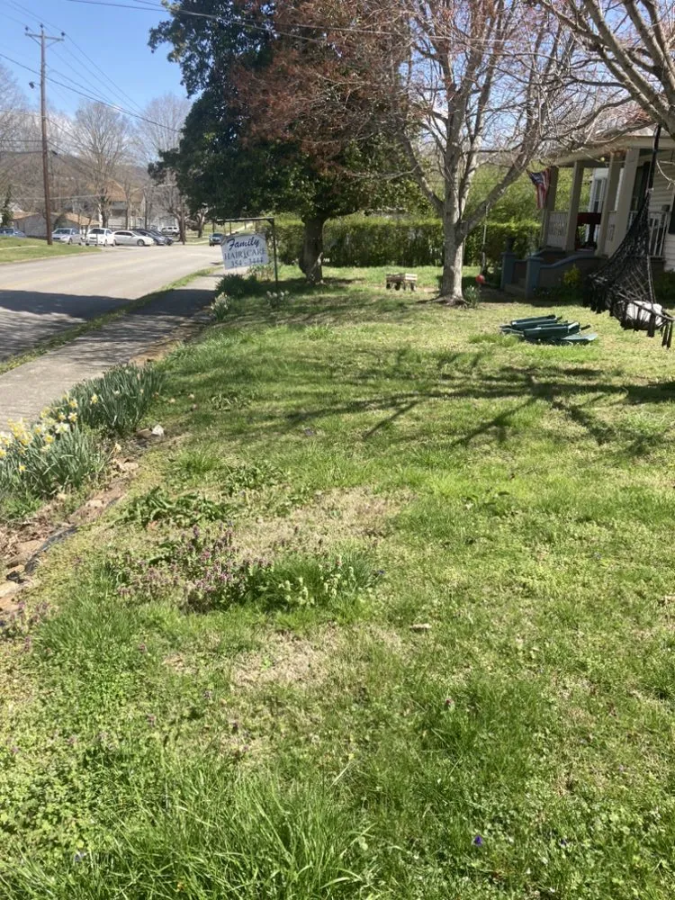 Professional outdoor landscaping in Rockwood, TN by W & R Mac Dermott Affordable Lawn Care