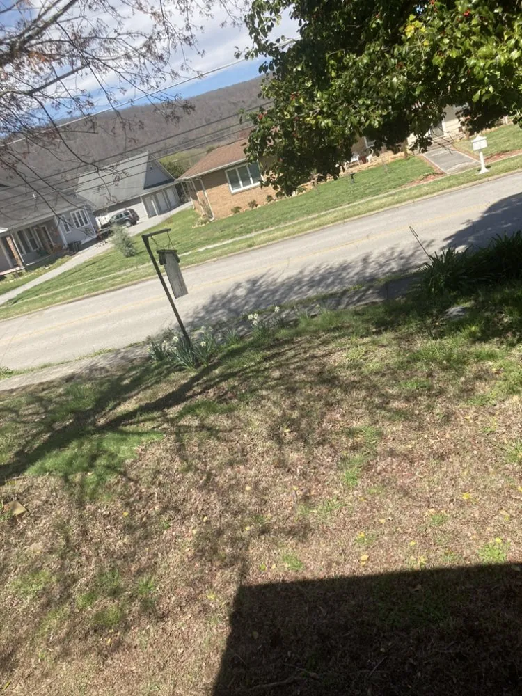 Reliable lawn care service with custom design across Rockwood, TN - W & R Mac Dermott Affordable Lawn Care